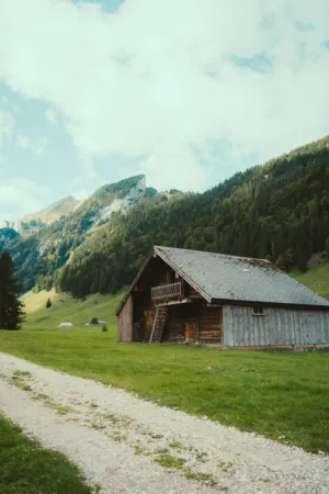 Mountain Cabin