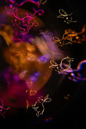 Bunny Bokeh