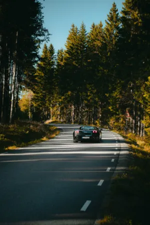 Forest Drive