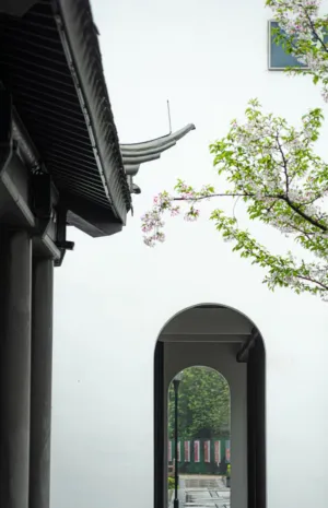 Traditional Chinese Architecture With Cherry Blossoms