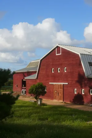 Red Barn