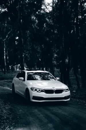 White Bmw In The Forest