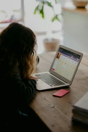Person Using Laptop