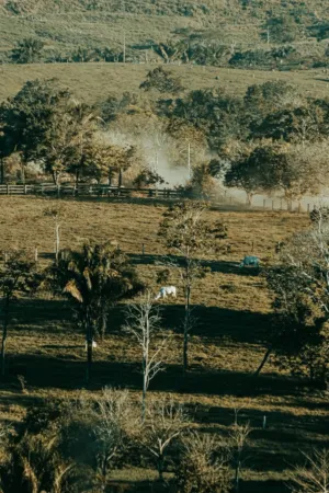 Pastoral Landscape
