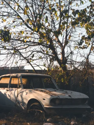 Abandoned Car In Nature