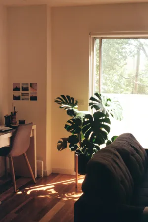 Cozy Living Room