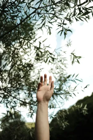 Hand Reaching For The Sky