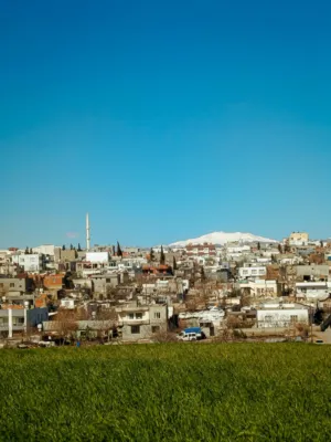 Urban Landscape With Snow-Capped Mountains