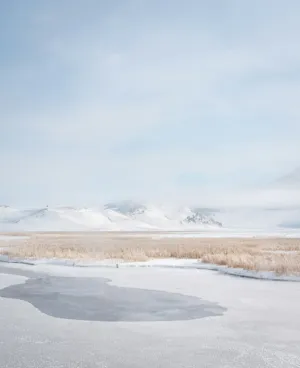 Winter Landscape