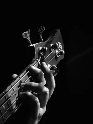 Guitar Fretboard