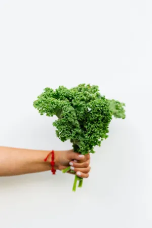Hand Holding Kale