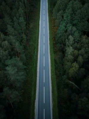 Forest Road