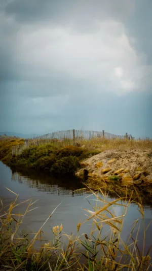 Beach Landscape