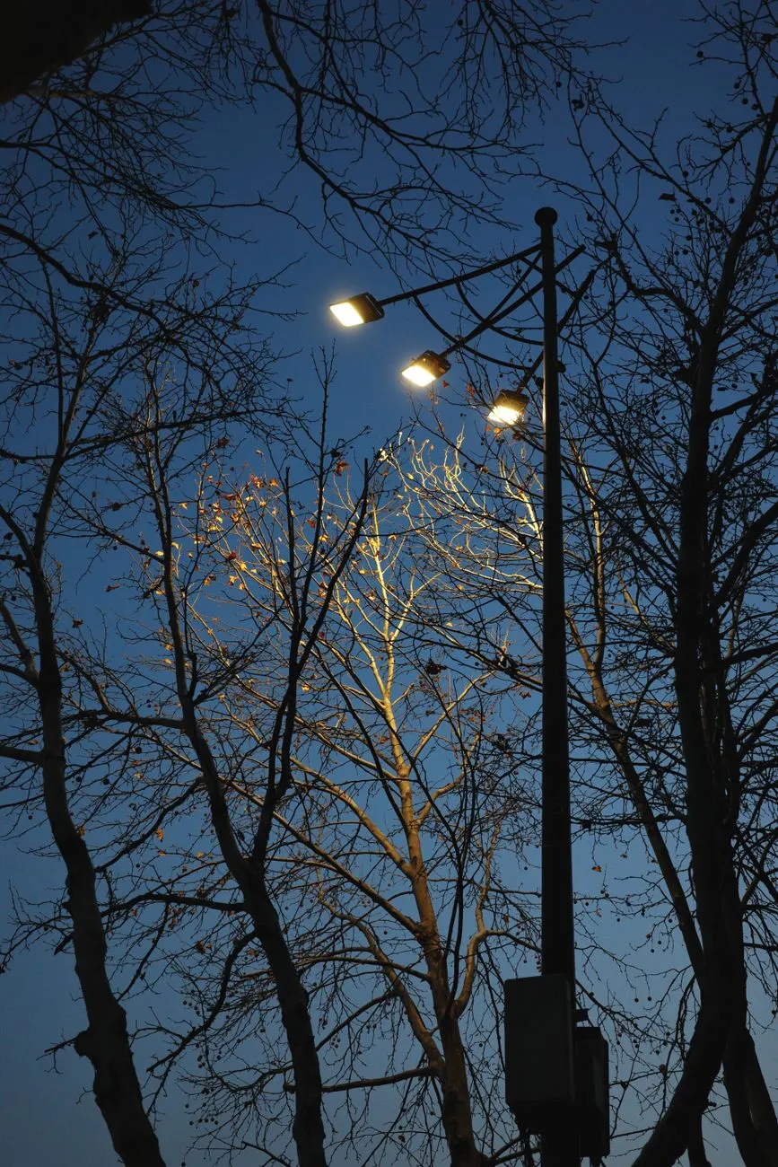 Street Lights At Dusk