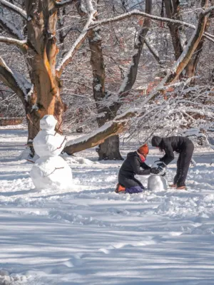 Building Snowmen In Winter Wonderland