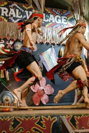 Traditional Dance Performance