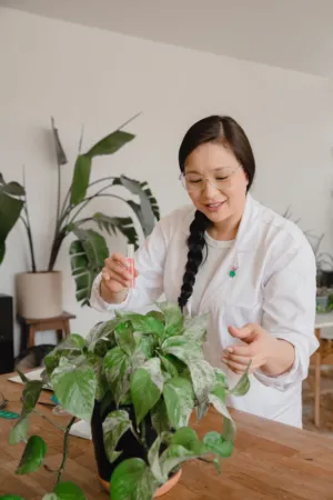 Scientist With Plant