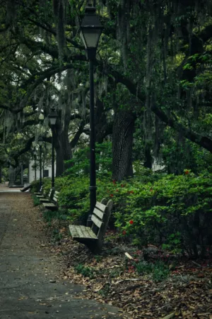 Garden Path