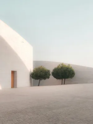 Modern Architecture With Trees