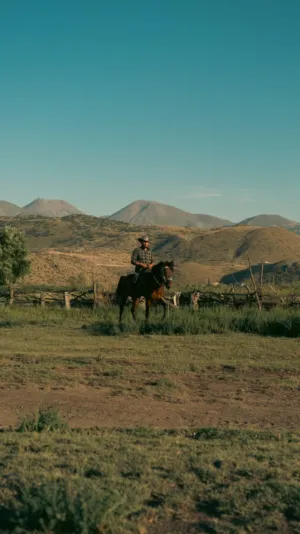 Rural Landscape With Horse Rider