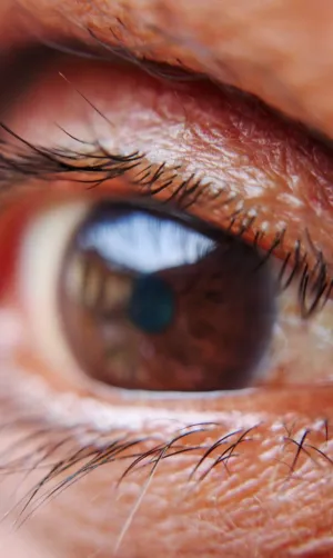 Close-Up Of A Human Eye