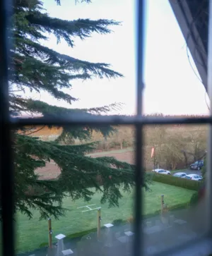 Window View Of Nature
