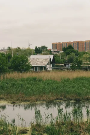 Urban Nature Landscape