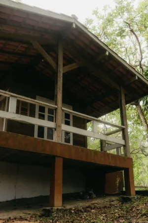 Rustic Wooden House