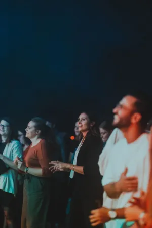 Crowd At A Concert