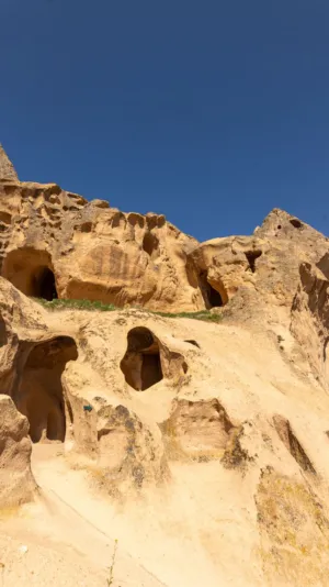 Ancient Rock Carvings