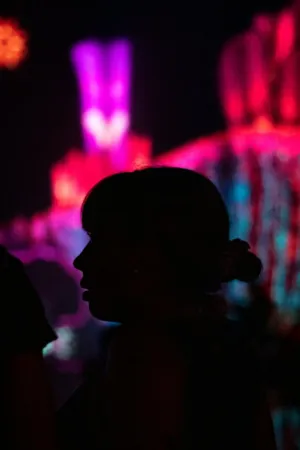 Silhouette Of A Person In Front Of A Light Show