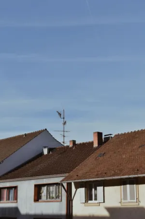 Roofline