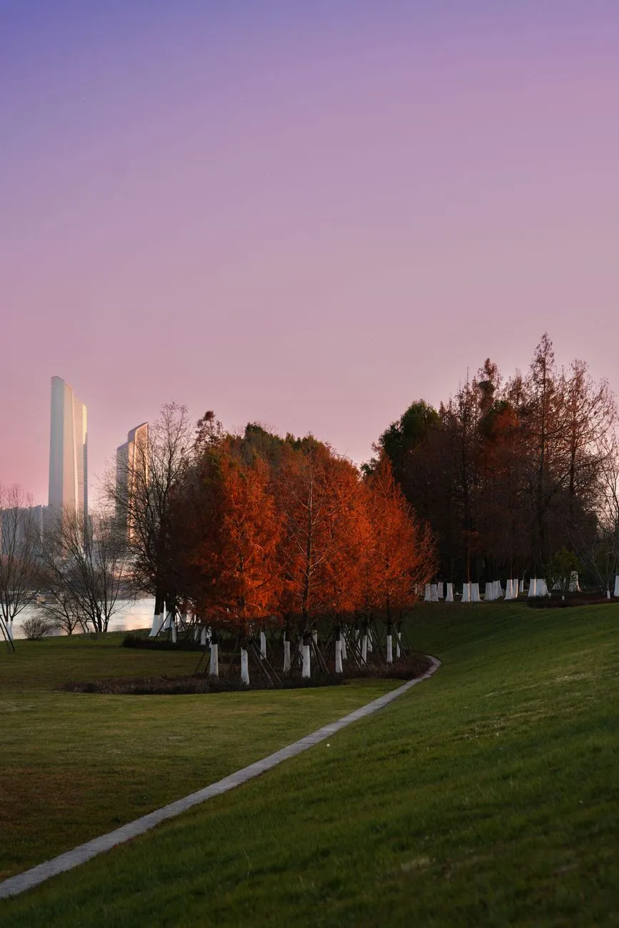 Urban Park At Sunset