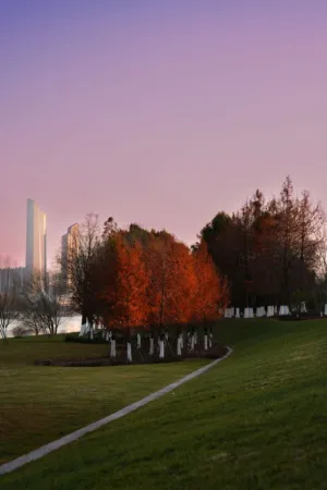 Urban Park At Sunset