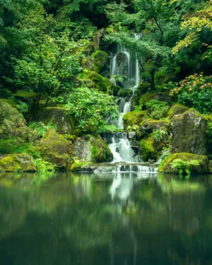 Greenery And Waterfall