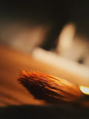 Artistic Brush