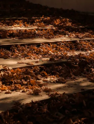 Autumn Stairway