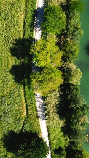 Green Path