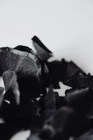 Black Charcoal Shavings