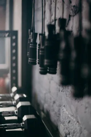 Gym Equipment