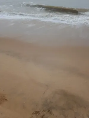 Beach Scene