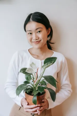 Young Woman Holding A Potted Plant