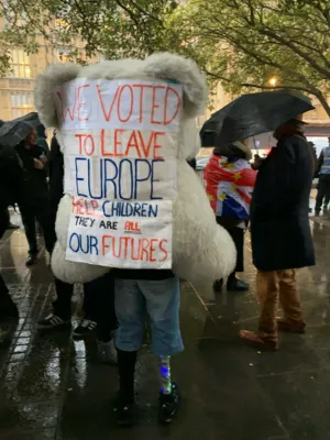 Pro-Brexit Protester