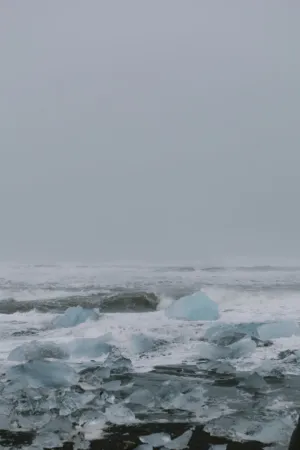 Icebergs On A Beach