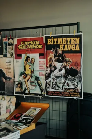 Movie Posters Display