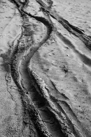 Sand Tracks
