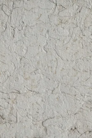 Stone Texture