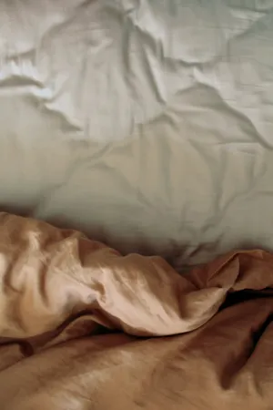 Wrinkled Sheets