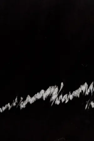Abstract Black And White Art
