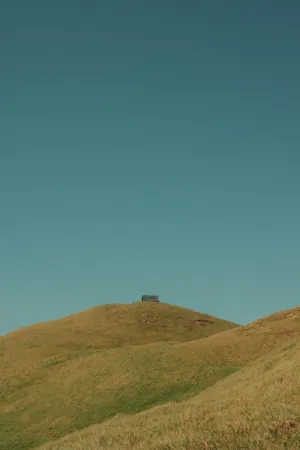 Solitary House On A Hill